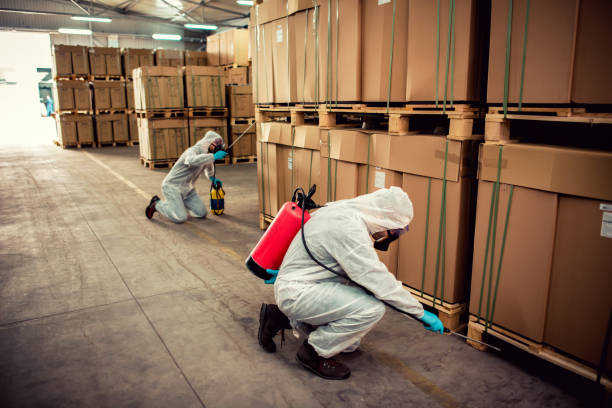 Best Local Pest Control Services  in Harmony, RI