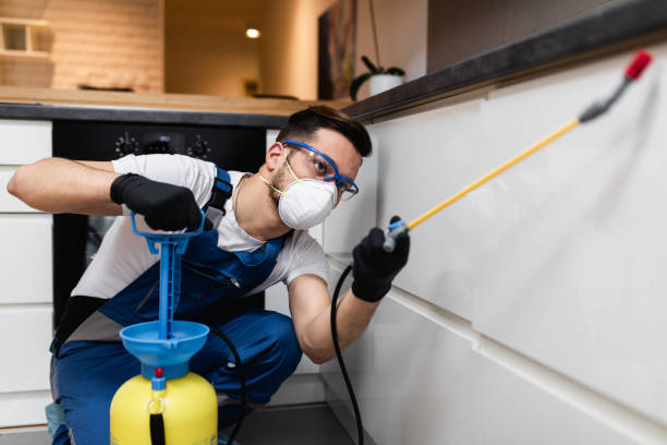 Trusted Harmony, RI Pest Control Experts
