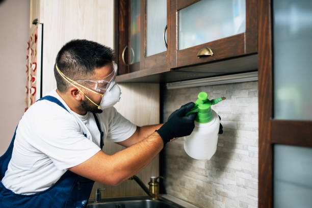 Pest Control for Restaurants in Harmony, RI