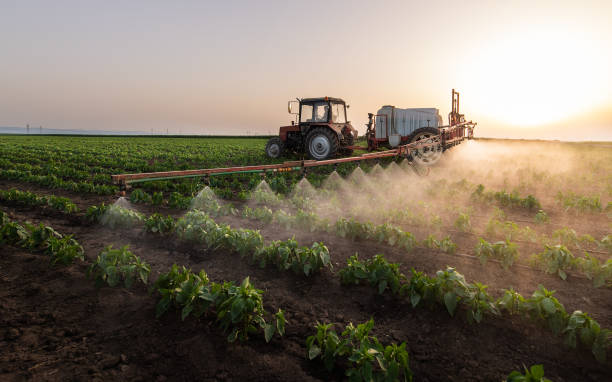 Best Commercial Pest Control Services  in Harmony, RI