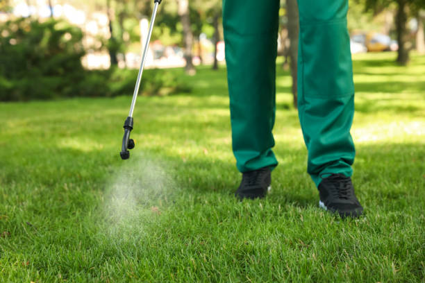 Best Cockroach Control Services  in Harmony, RI