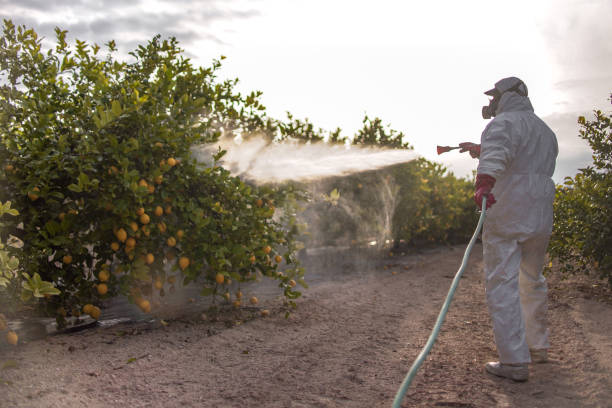 Best Pest Removal Services  in Harmony, RI