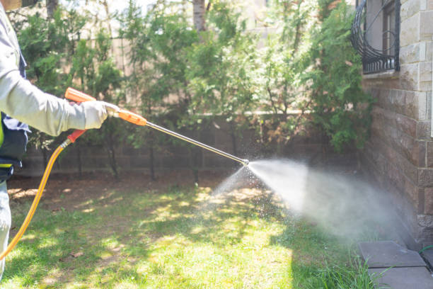 Best Wasp Removal Services  in Harmony, RI