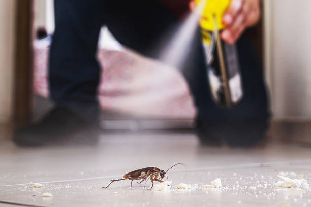 Best Insect Control  in Harmony, RI