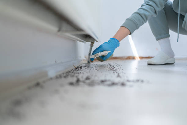Pest Control Cost in Harmony, RI